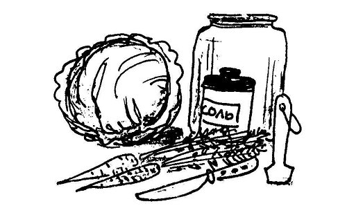 Как квасить капусту